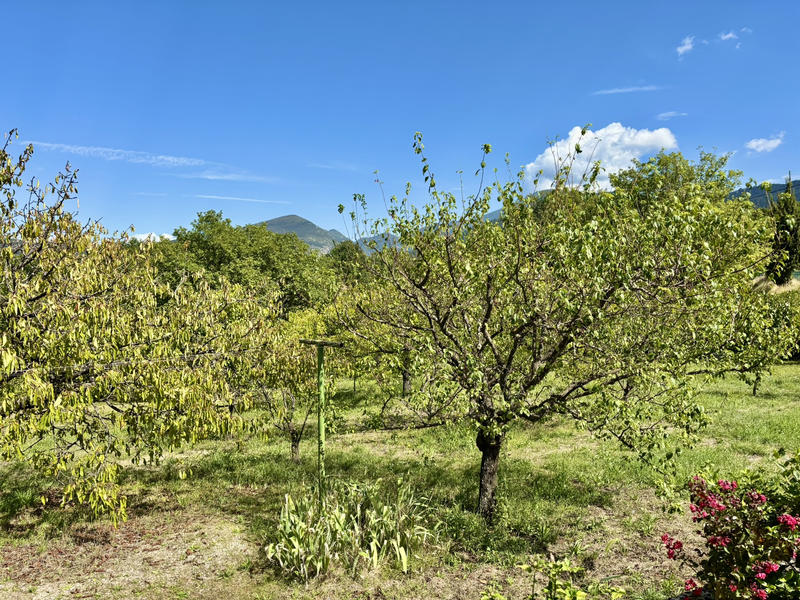 Mas - 269 m² - 10 pièces