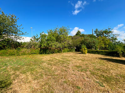 Terrain - 995 m²