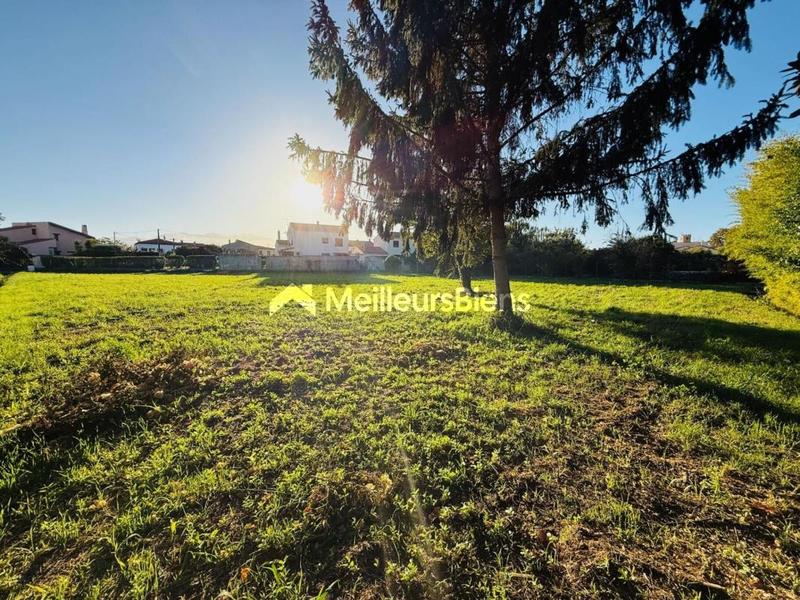 Terrain constructible - 2 438 m²