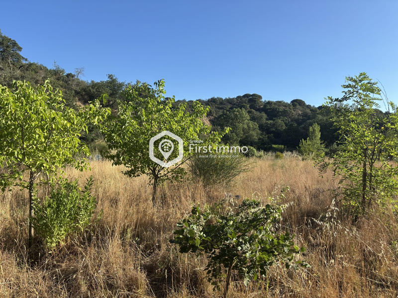 Terrain agricole - 8 736 m²