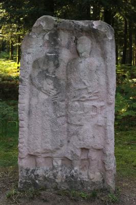 Visite guidée - Camp celtique de la Bure