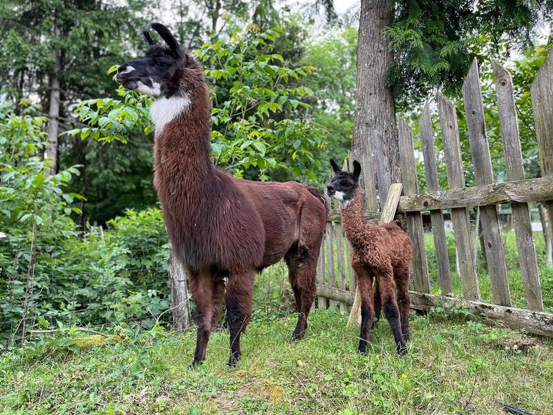 Chasse aux Trésors de Printemps