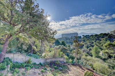 Maison - 250 m² - 5 pièces