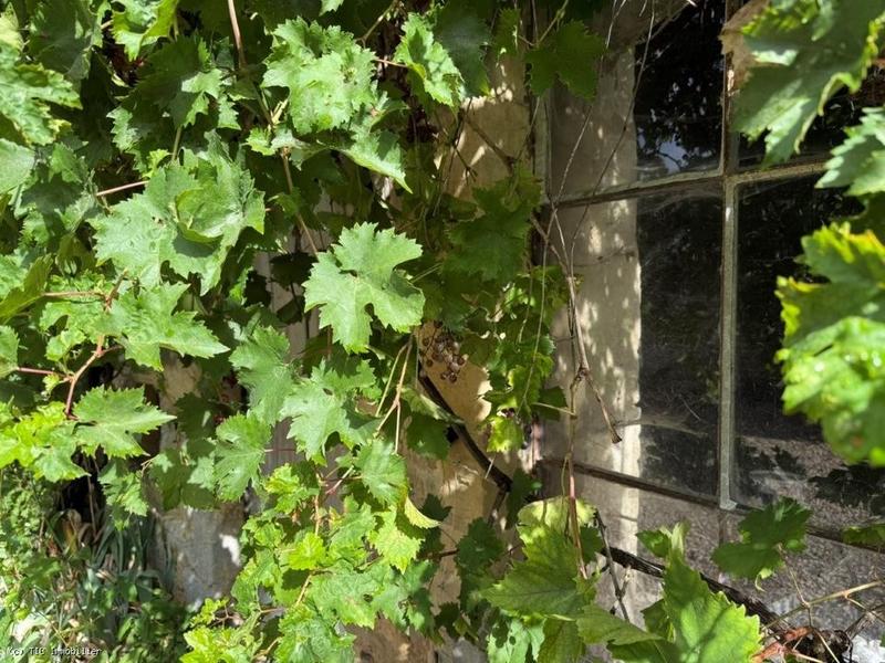 Maison de village - 90 m² - 3 pièces