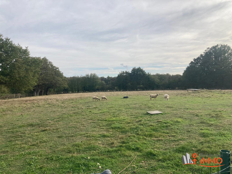 Maison - 335 m² - 12 pièces