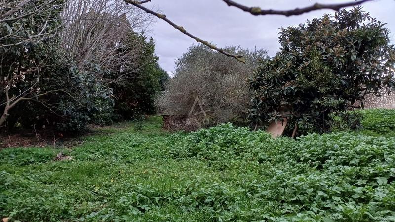 Remise - 110 m² - 1 pièce