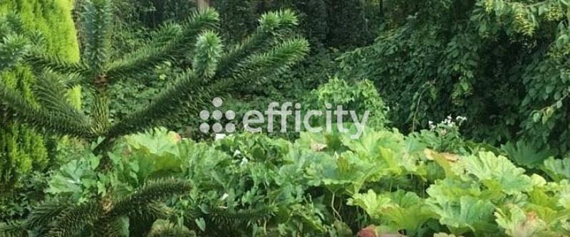 Maison - 221 m² - 7 pièces