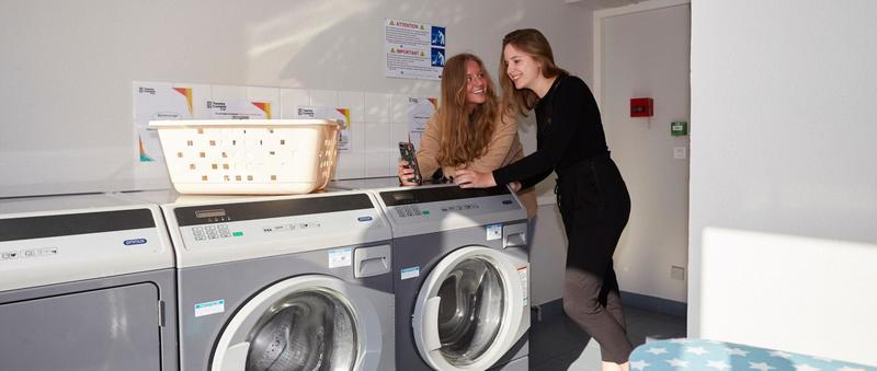 Studio - 14 m² - 1 pièce