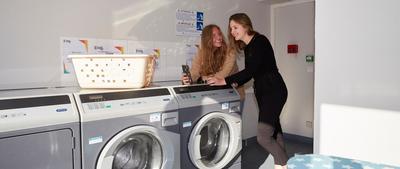 Studio - 14 m² - 1 pièce