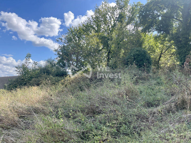 Terrain agricole - 2 667 m²