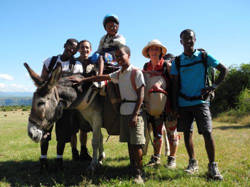 Sherp'Ânes les ânes du Causse