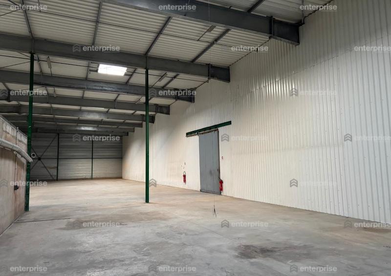 Local d'activité / Entrepôt - 1 210 m²