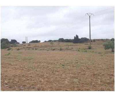 Terrain - 83 245 m²