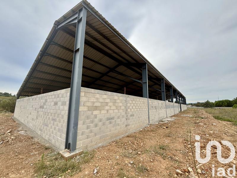 Terrain - 16 205 m²