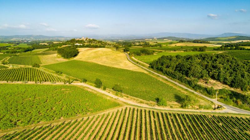 Terrain agricole - 360 000 m²