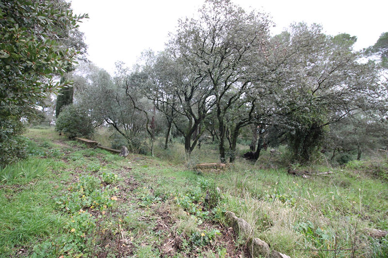 Maison - 200 m² - 7 pièces