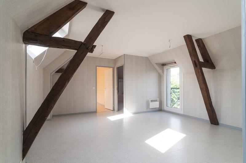 Appartement ancien - 50 m² - 1 pièce