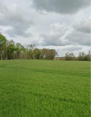 Terrain constructible - 452 m²