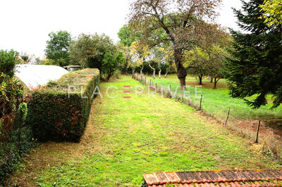 Appartement - 55 m² - 2 pièces