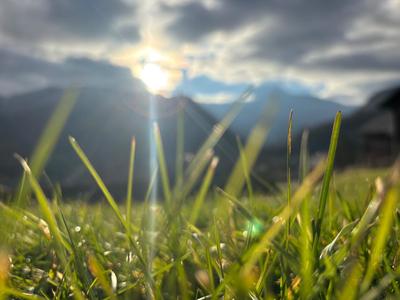 Terrain constructible - 596 m²