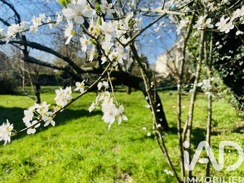 Maison - 142 m² - 4 pièces