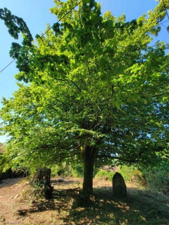 Maison - 235 m² - 9 pièces