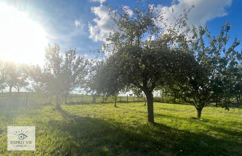 Maison - 194 m² - 6 pièces