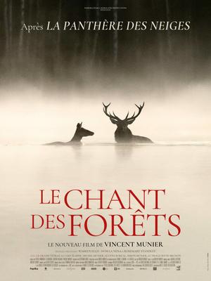 Cinéma : le chant des forêts