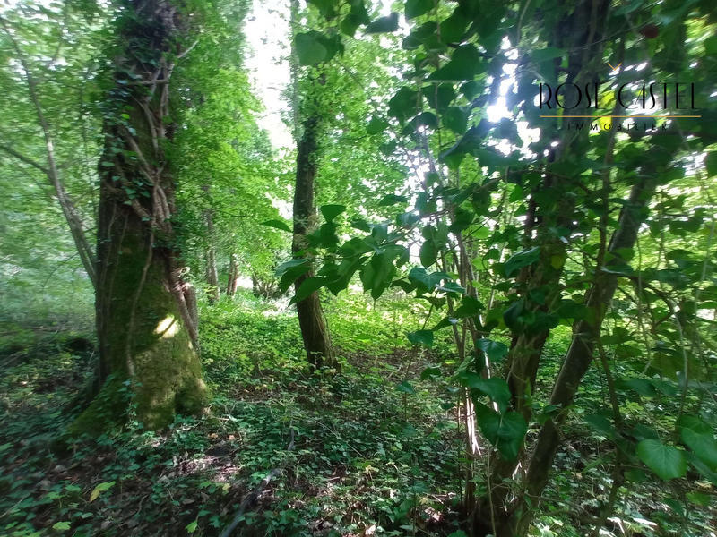 Terrain de loisirs - 4 800 m²