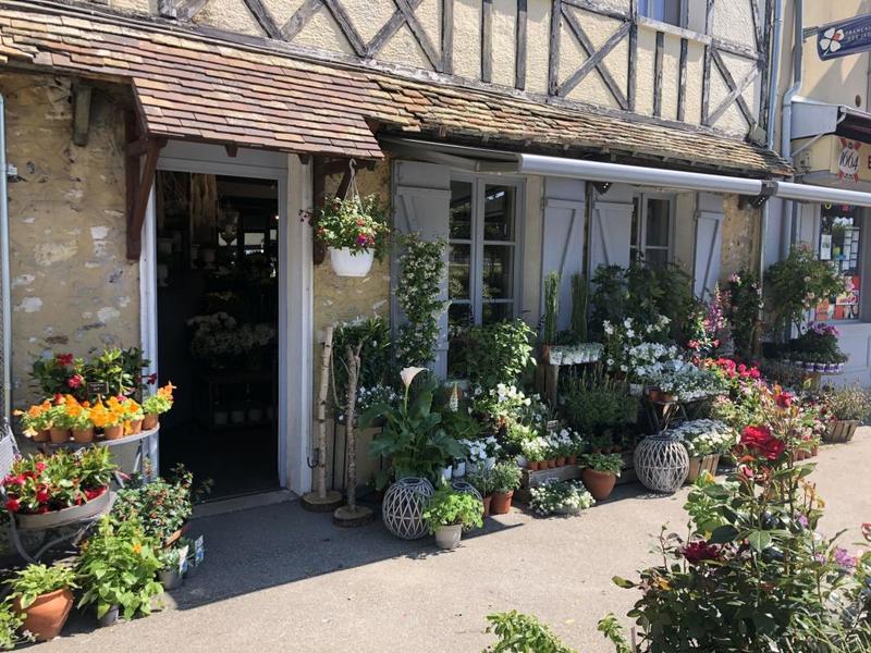 1 . Flore &amp; Sens