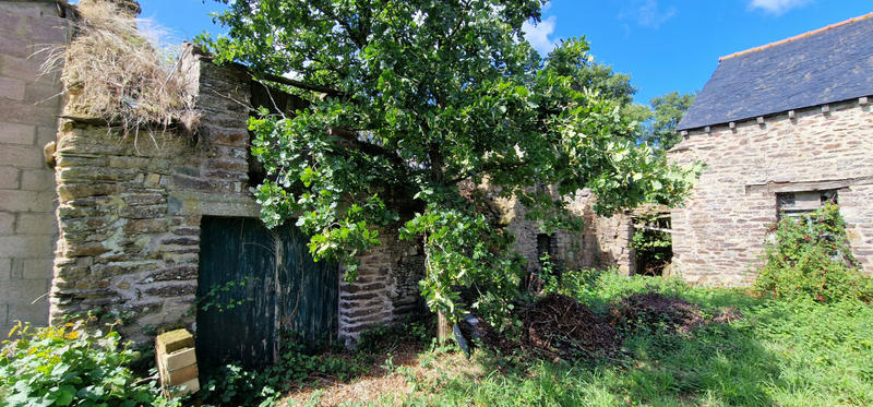 Maison - 81 m² - 4 pièces