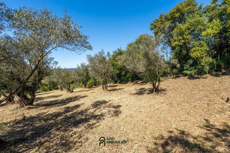 Terrain constructible - 1 336 m²