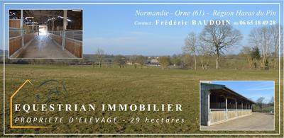 Maison - 113 m² - 5 pièces