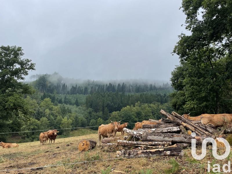 Ferme - 85 m² - 5 pièces