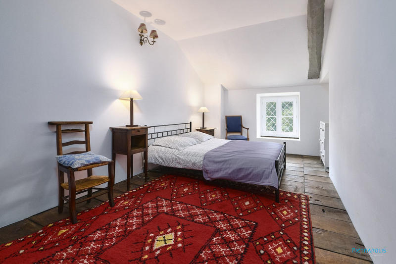 Maison ancienne - 300 m² - 13 pièces