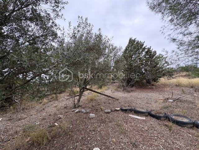 Terrain agricole - 1 590 m²