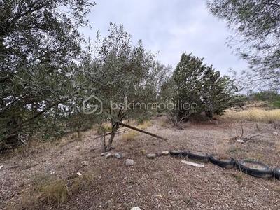 Terrain agricole - 1 590 m²