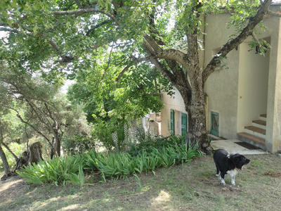 Ferme - 100 m² - 5 pièces