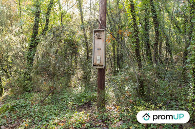 Terrain agricole - 9 625 m²