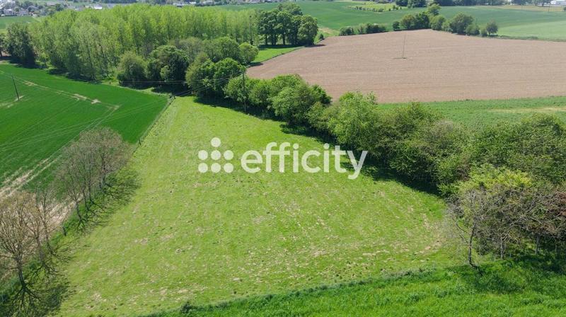 Maison de domaine équestre - 165 m² - 8 pièces