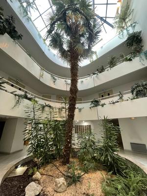 Appartement - 18 m² - 1 pièce