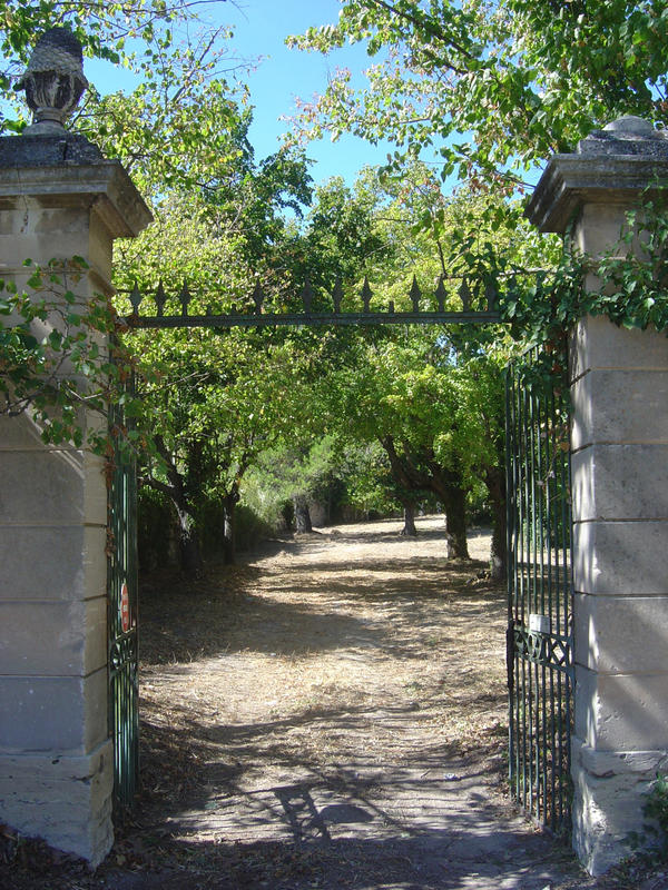 Maison - 300 m² - 10 pièces