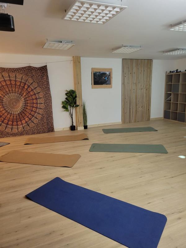 Journée Sport Santé Gratuite - Activités multisports