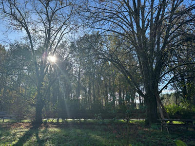 Maison - 147 m² - 6 pièces