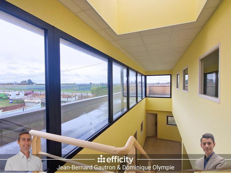 Bureau - 297 m² - 21 pièces