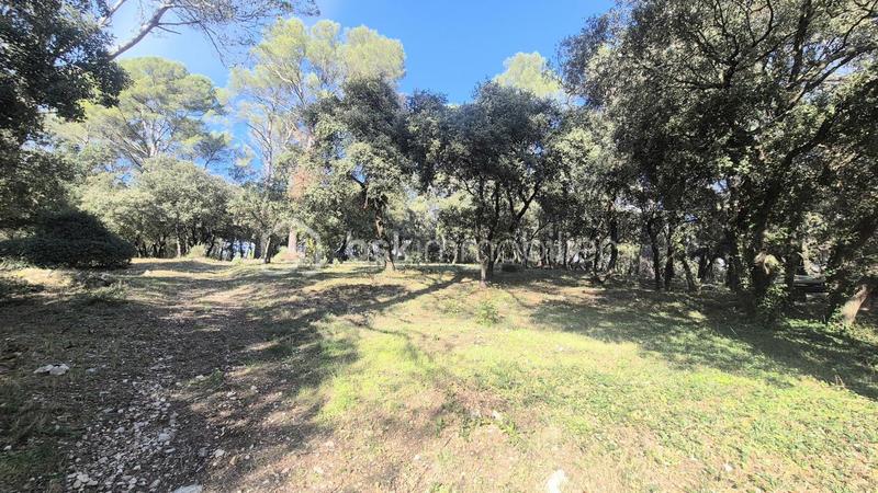 Maison - 297 m² - 10 pièces