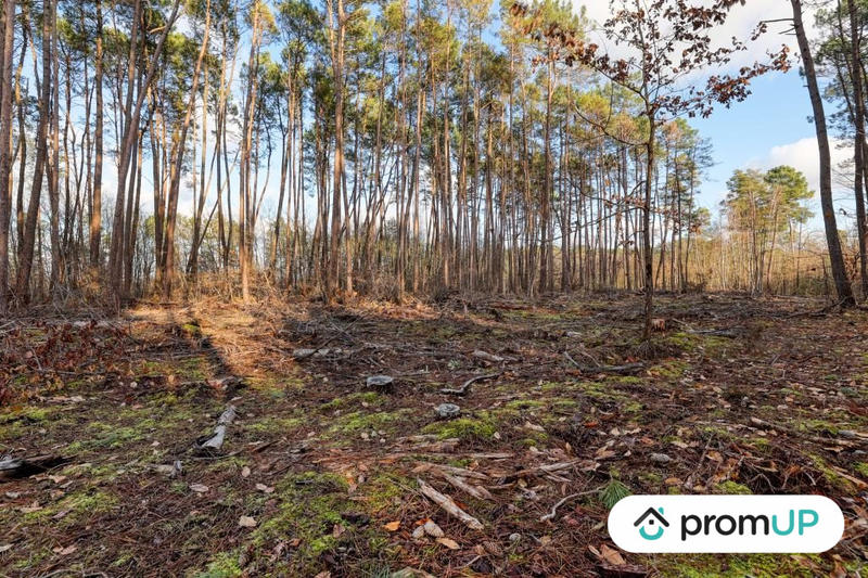 Terrain de loisirs - 1 570 m²