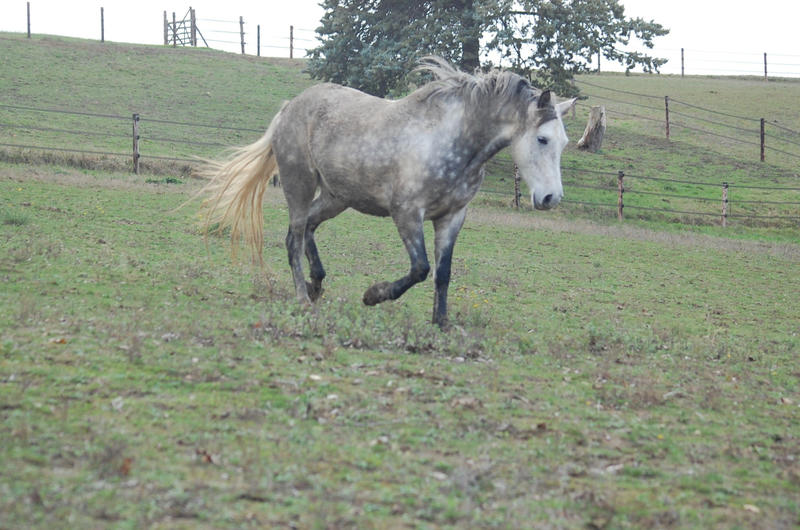 Local d'activités - 126 592 m²