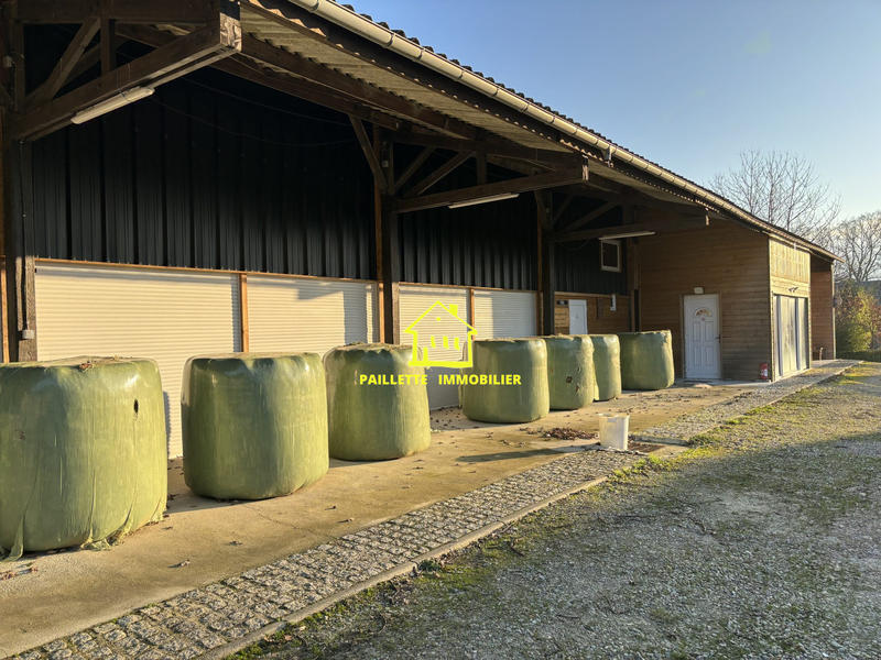 Entrepôt - 235 m² - 2 pièces