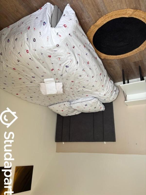 Chambre - 16 m² - 1 pièce